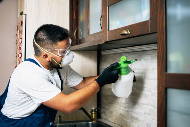 Best Exterminator Services  in Bally, PA