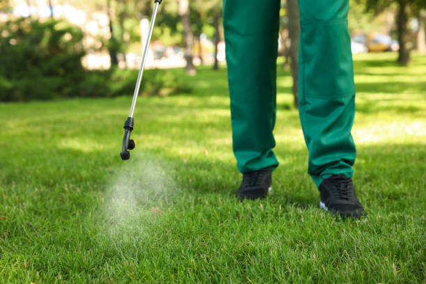 Pest Control for Restaurants in Bally, PA