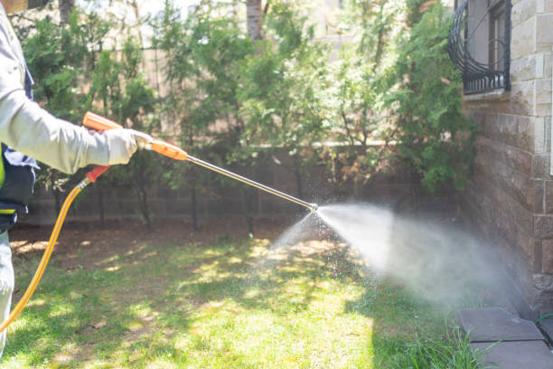 Best Bird Control  in Bally, PA