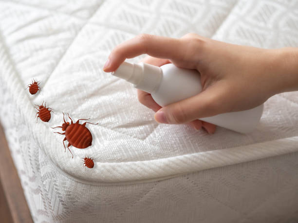 Best Pest Control Near Me  in Bally, PA